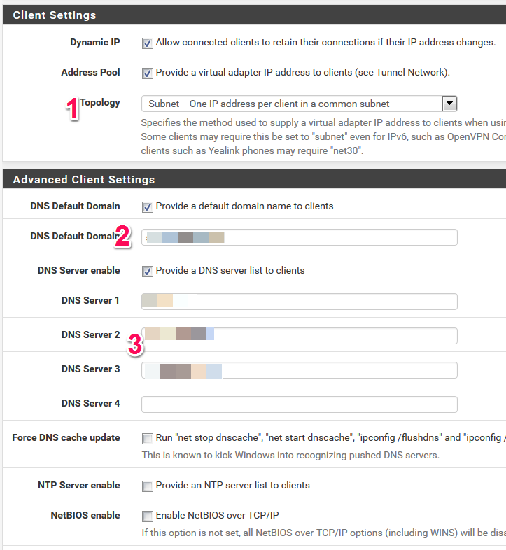 Einstellungen des Kunden-Netzes in der pfsense für den OpenVPN-Tunnel