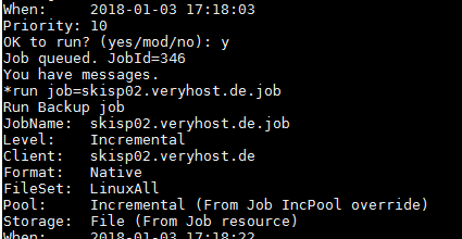 Den Backup-Job für den Linux-Client starten