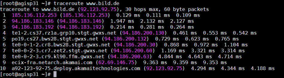 Traceroute Befehl unter Linux