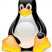 linux penguin tux